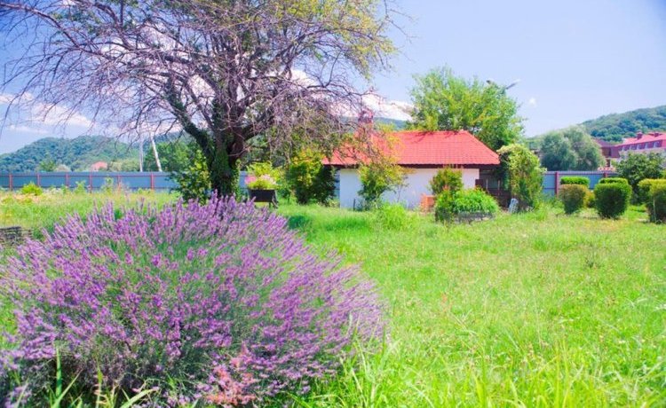 Гостиница Sadko Hotel Туапсе-19